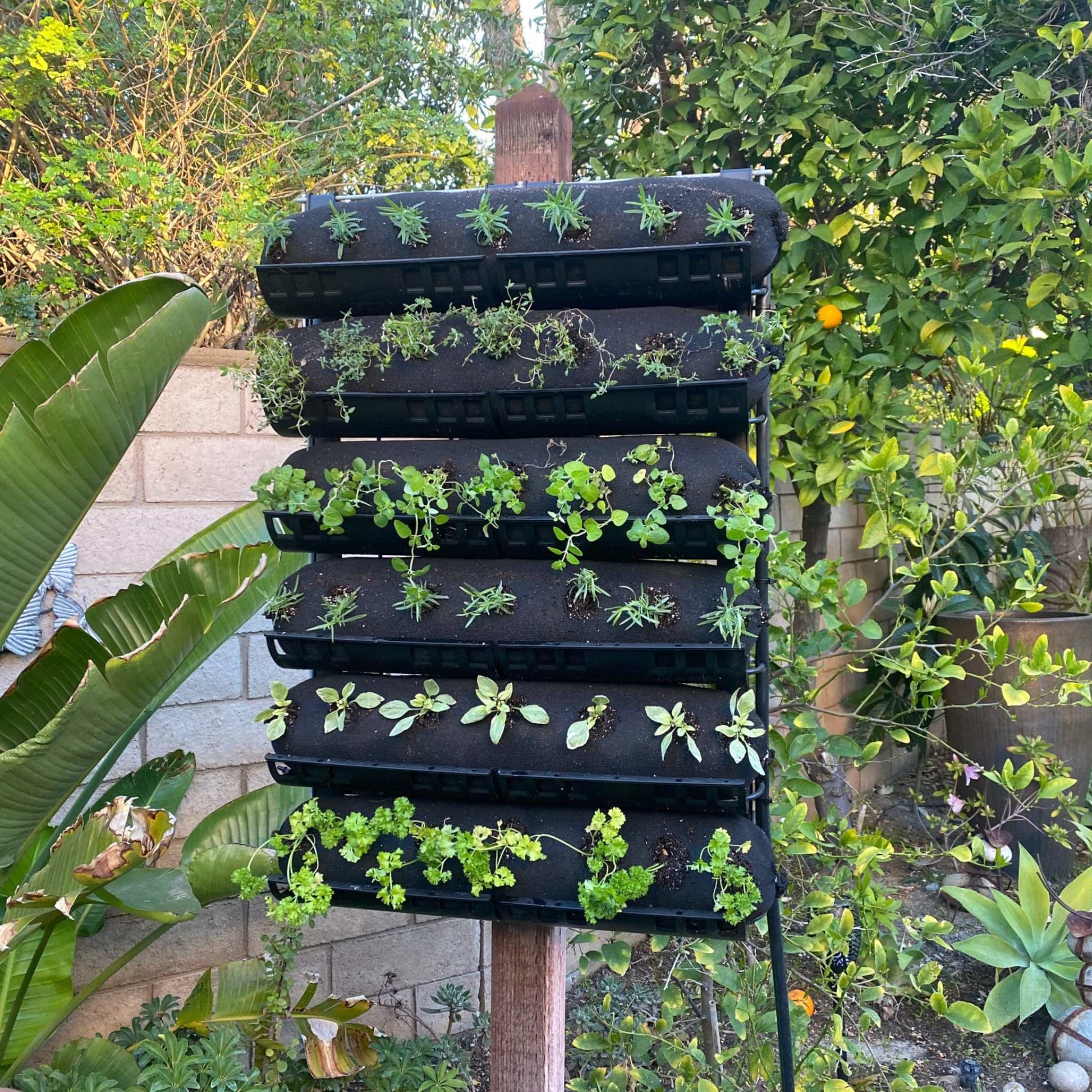 Varden™ Trays by Bootstrap Farmer installed and planted on a post for efficient seedling cultivation and transplanting.