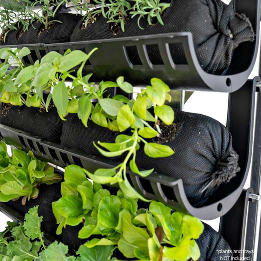 Varden™ Empty Mesh from Bootstrap Farmer with planted Vardensocks for versatile planting and gardening applications.