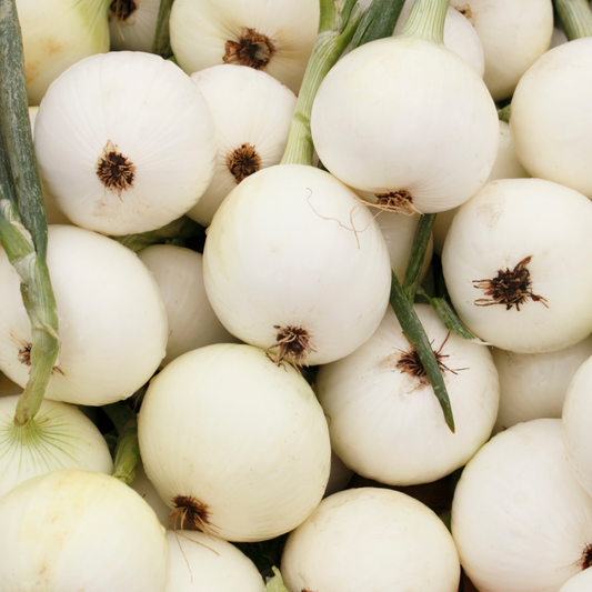 Heirloom Walla Walla onion plants from The Farm On Central, showcasing long-day onion varieties with green foliage and bulbs.