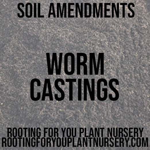 Organic worm castings soil amendment from Rooting For You Plant Nursery, showing rich, dark compost ideal for enriching garden soil.