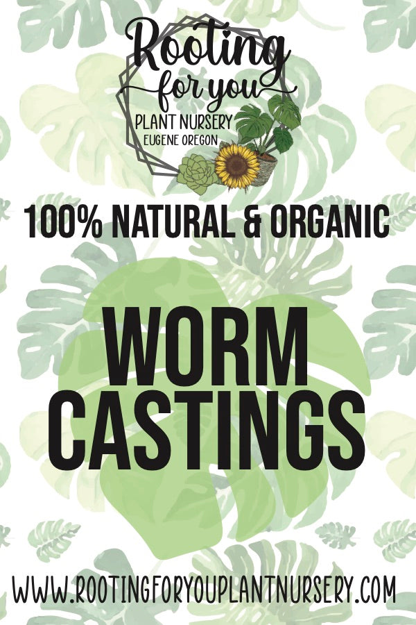 Rich worm castings soil amendment from Rooting For You Plant Nursery, showing dark, organic compost ideal for plant growth.