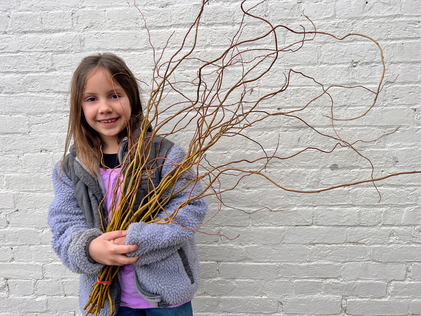 Yellow curly willow branch from The Farm On Central, showcasing vibrant, twisted yellow willow branches for floral arrangements.