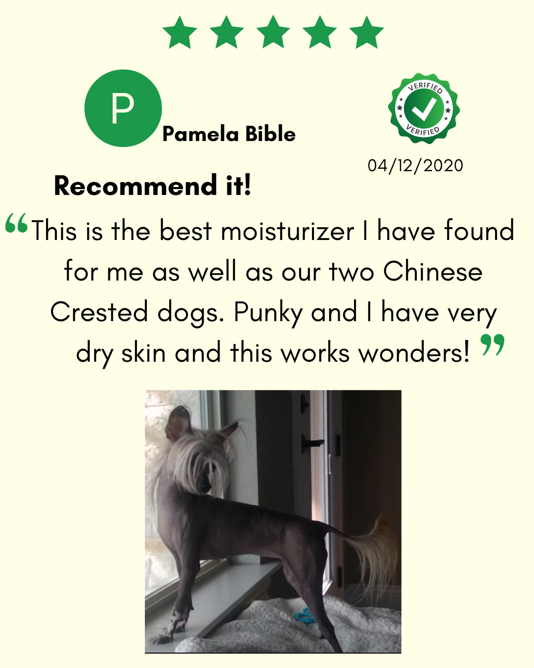 ReNewedPet 4-Hairless Pets Sensitive Conditioner bottle with label, designed for pets with sensitive skin.