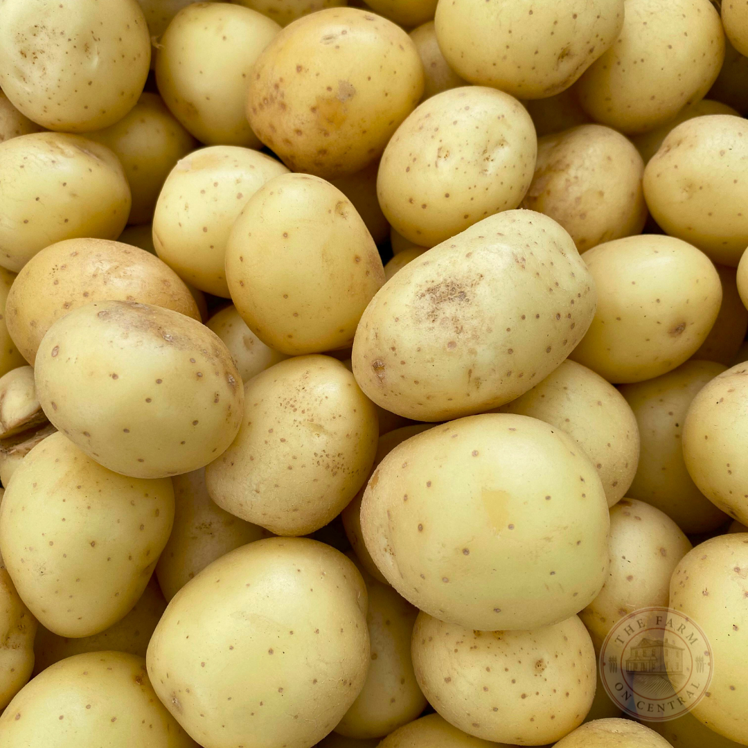 Fresh Yukon Gold potatoes from The Farm On Central, showcasing smooth, golden skin perfect for cooking or snacking.