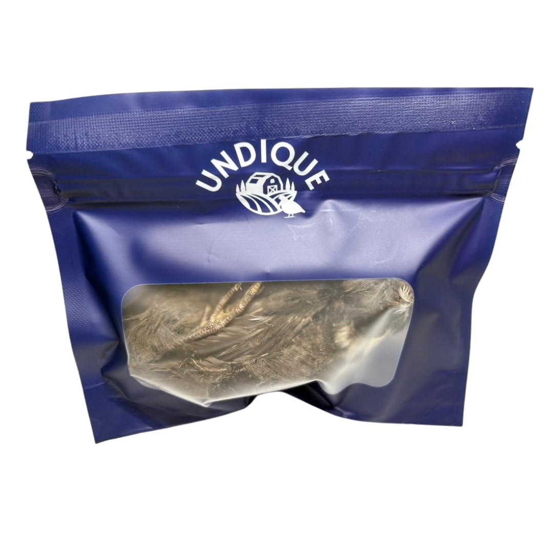 Dehydrated whole quail treat for bird dog training or falconry, shown on a clean surface with natural lighting.