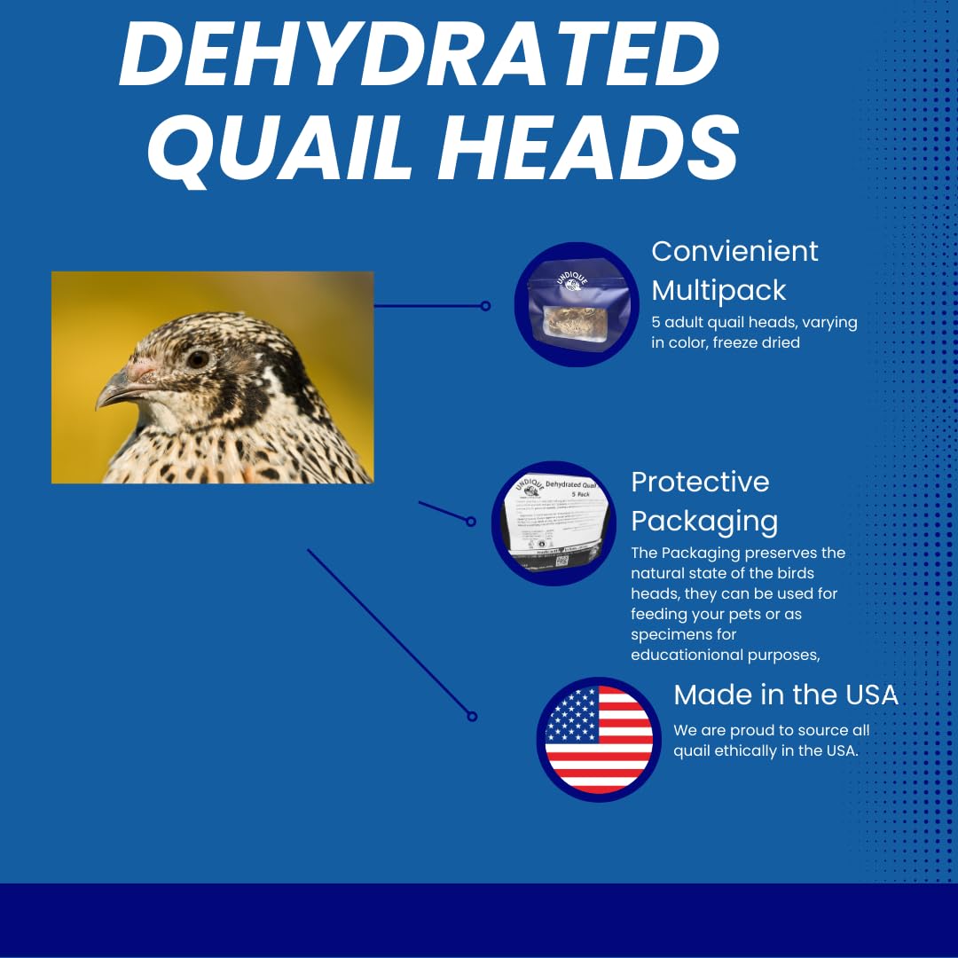 Gourmet cat treats by Quailz.com featuring high-protein quail heads for healthy skin, coat, and natural instincts in a pack of 10