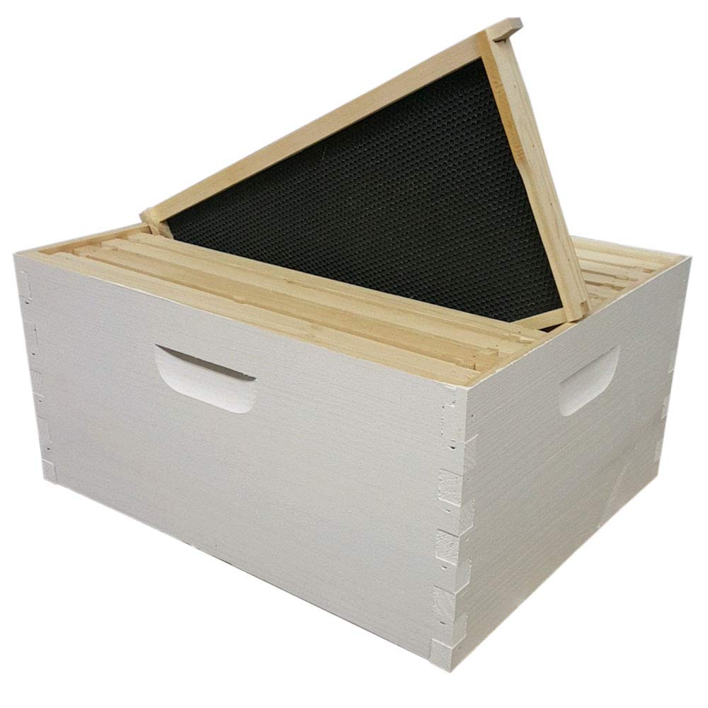 Galena Farms 10-frame Langstroth deep hive box made of painted Amish white pine, assembled for beekeeping hive setup.