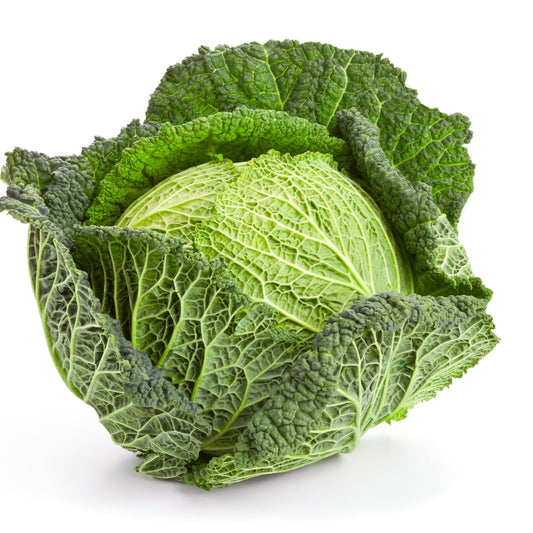 Savoy Perfection cabbage seeds from Alliance of Native Seedkeepers, vegetable seeds for planting healthy, flavorful cabbage plants.