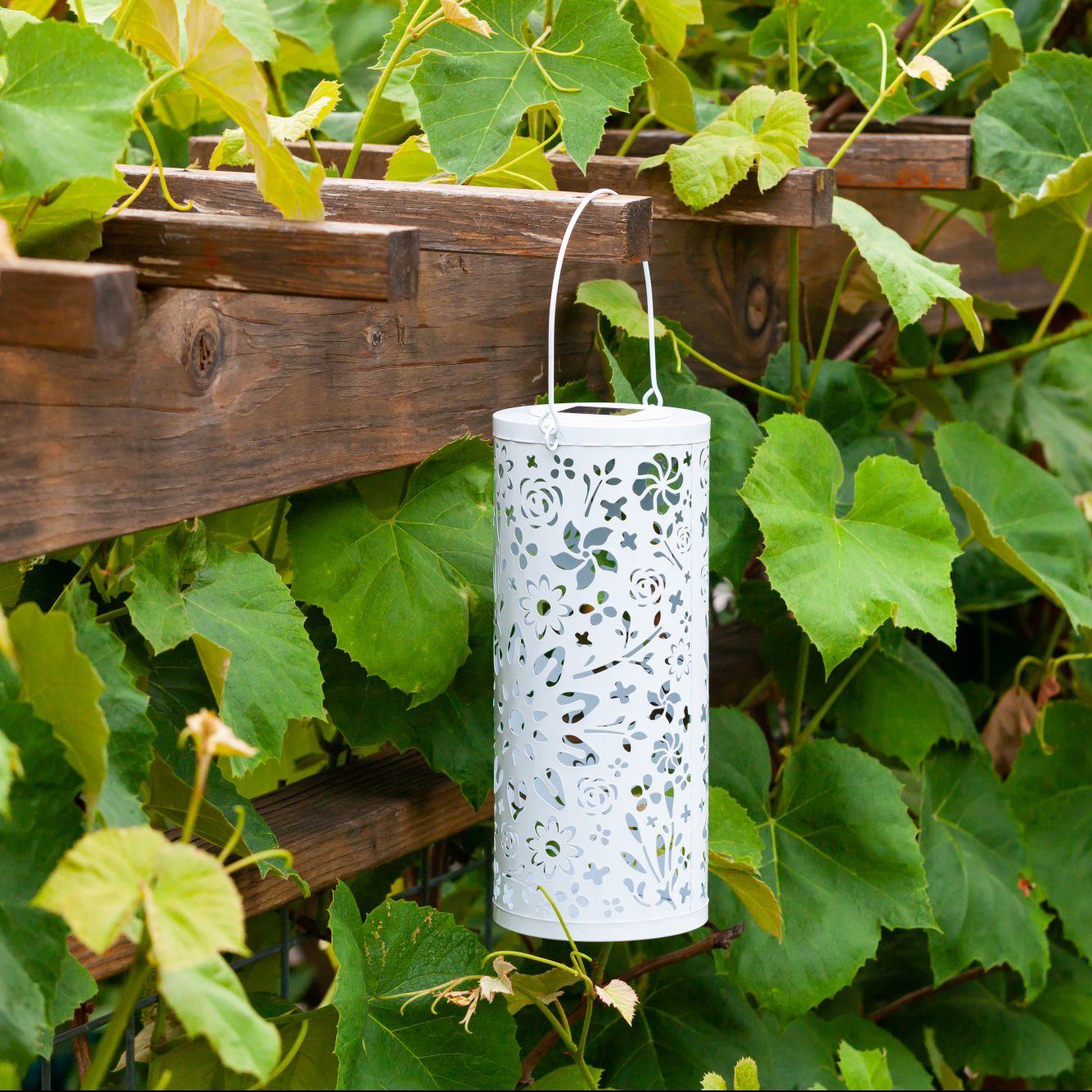 White Bloom Punched Metal Solar Lantern by Allsop Home & Garden, decorative outdoor lantern with punched metal design.