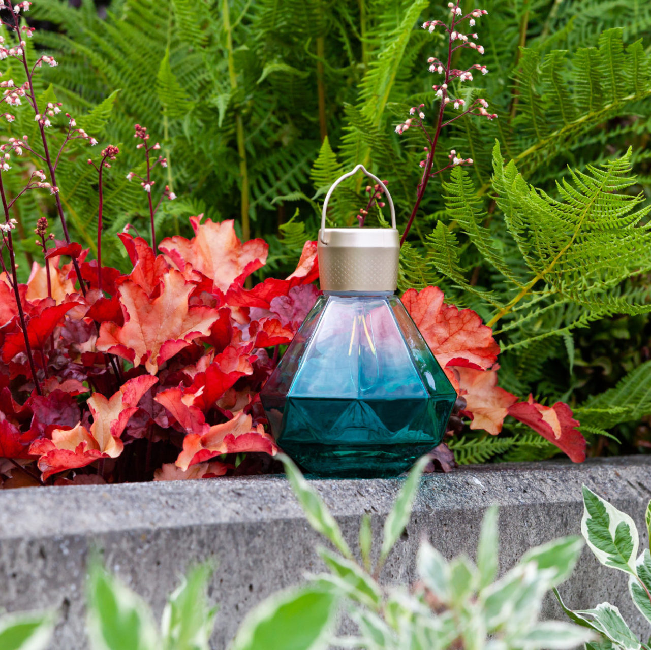 Allsop Home & Garden 5.5-inch Gem Light Glass Solar Lanterns with clear, decorative glass and solar-powered illumination.