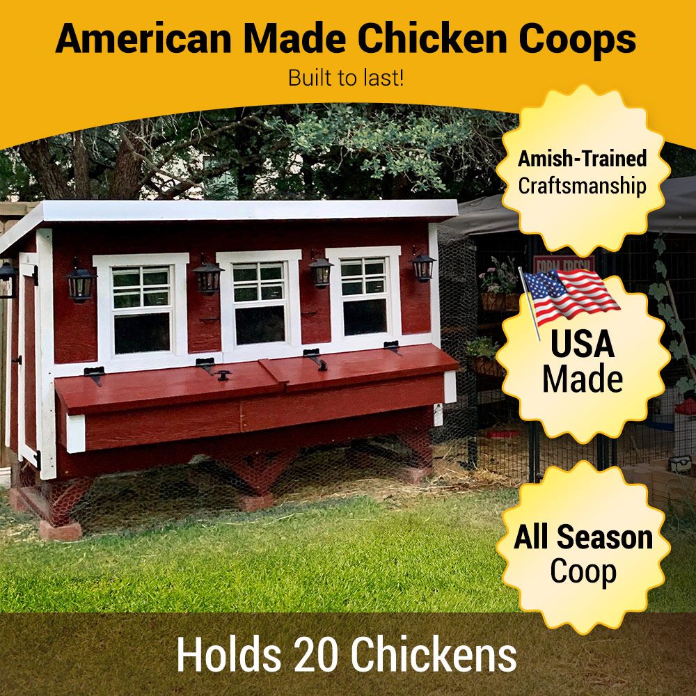 OverEZ XL Chicken Coop for up to 20 chickens, featuring spacious design, sturdy construction, and ample ventilation.