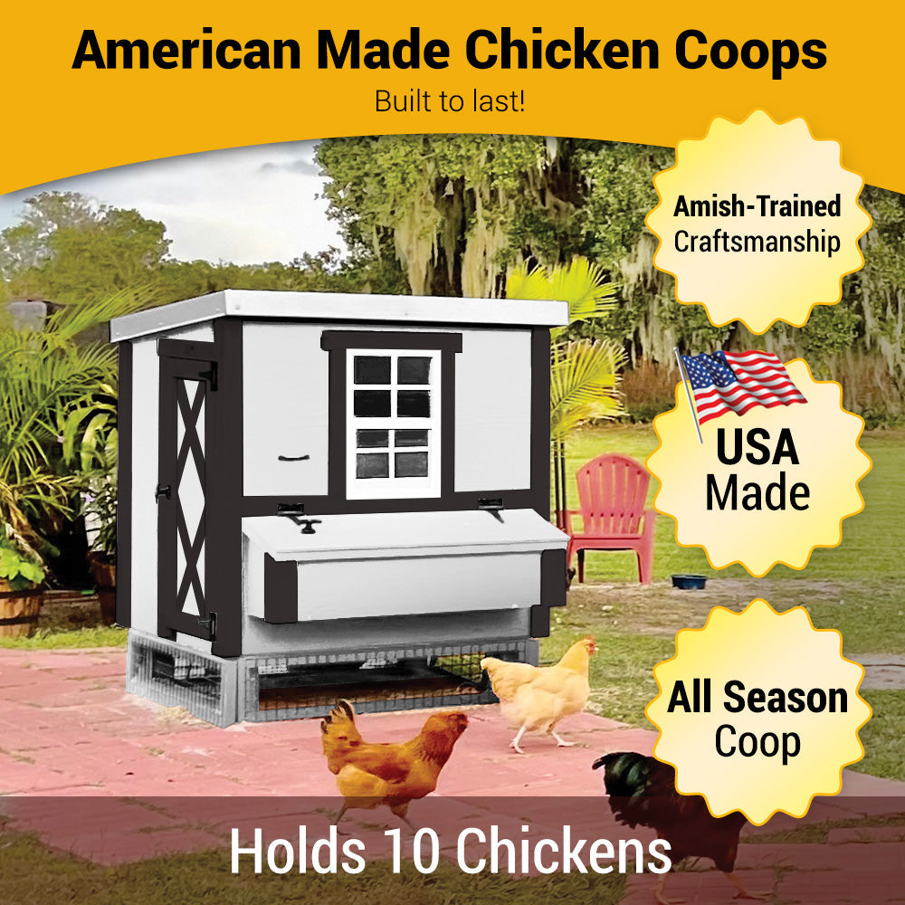 Medium OverEZ Chicken Coop for up to 10 chickens, featuring a sturdy design and spacious outdoor shelter for backyard poultry.