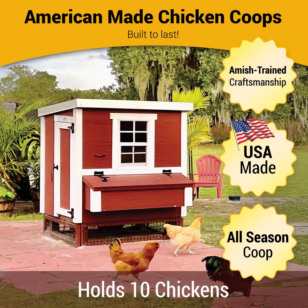 Medium OverEZ Chicken Coop designed for up to 10 chickens, featuring durable wood construction and spacious outdoor run.