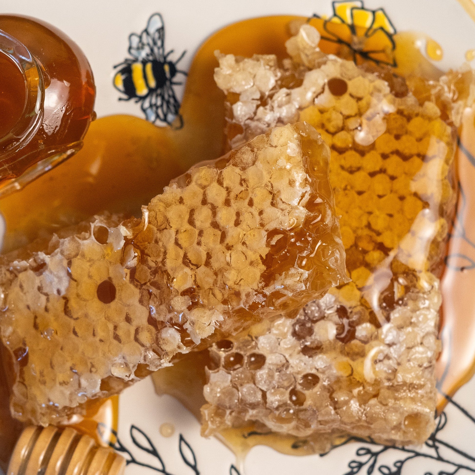 Small New England hand-cut honey comb from Aquidneck Honey, showcasing natural honey-filled beeswax cells.