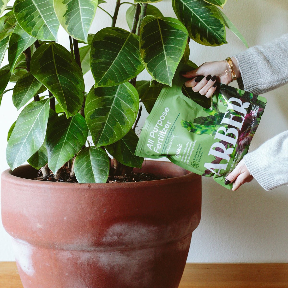 Organic All Purpose Fertilizer by Arber, showing a bag of plant nutrients with green and white packaging for healthy garden growth.