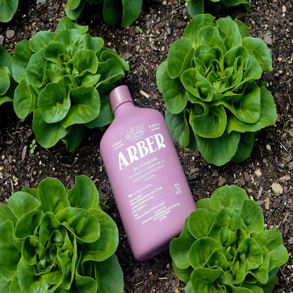 Organic Bio Fungicide by Arber, showing a container of natural fungicide product for plant protection and garden health.