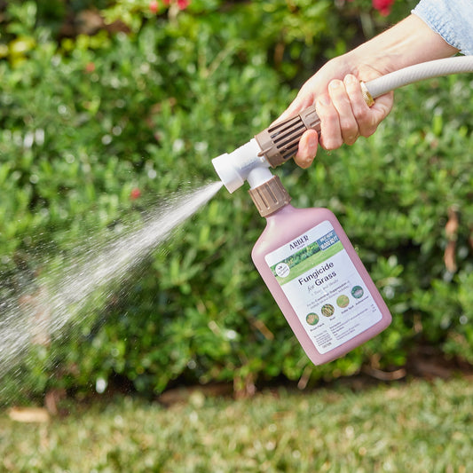 Organic fungicide for grass, trees, and shrubs by Arber, shown in a container suitable for outdoor garden treatment.