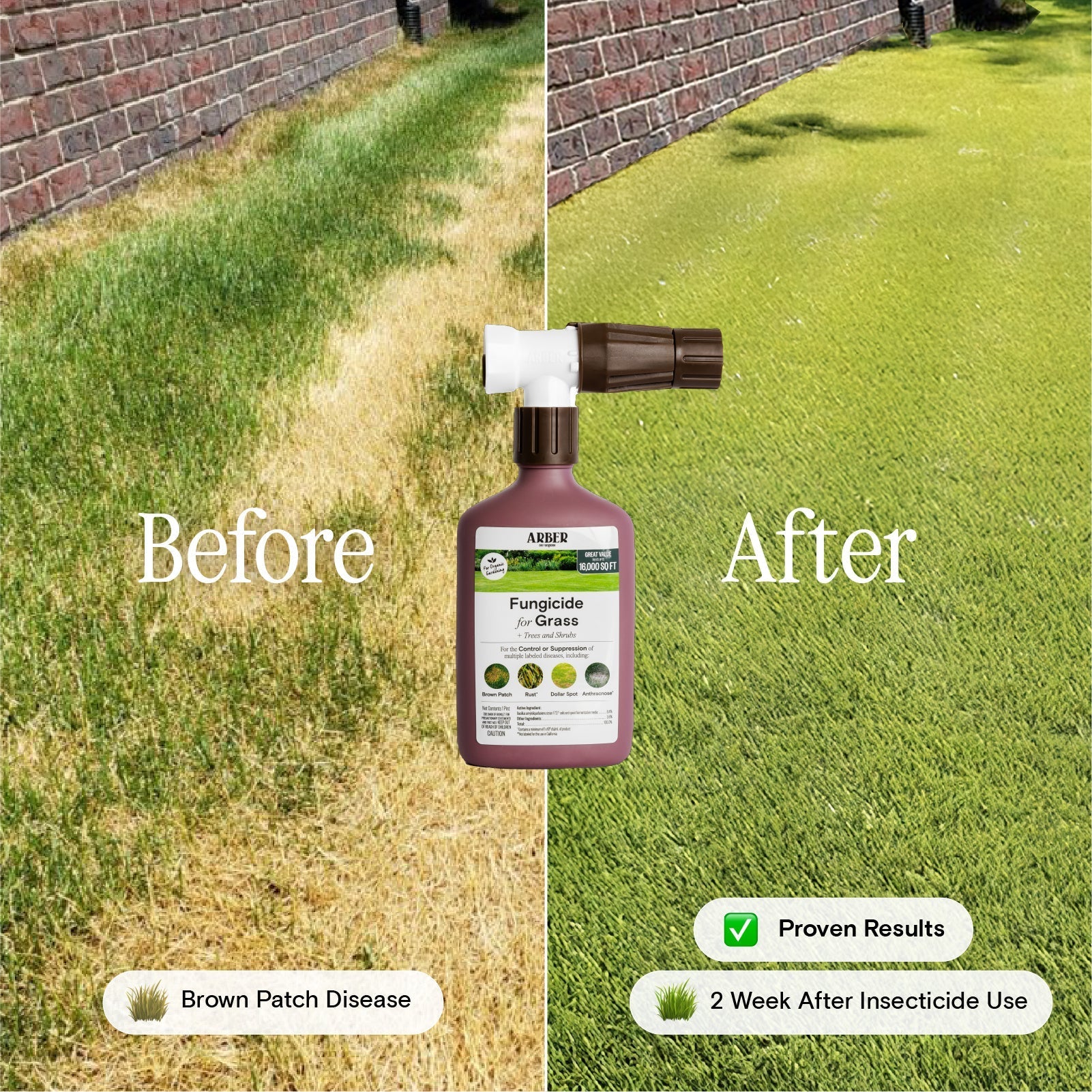 Organic fungicide by Arber applied to grass, trees, and shrubs to prevent fungal diseases and promote healthy plant growth.
