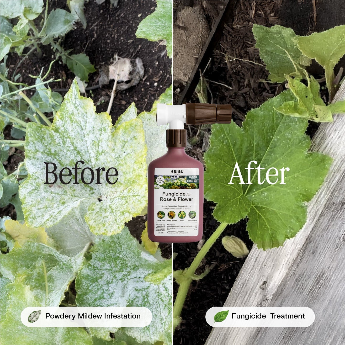 Organic fungicide for roses and flowers by Arber, shown in a garden setting with spray bottle and blooming plants.