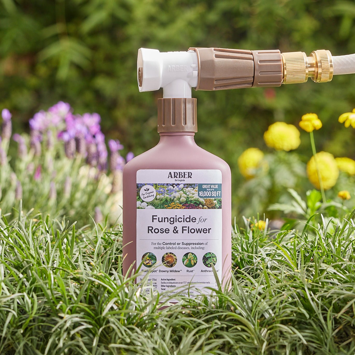 Organic fungicide for roses and flowers by Arber, showing a spray bottle with natural plant protection solution