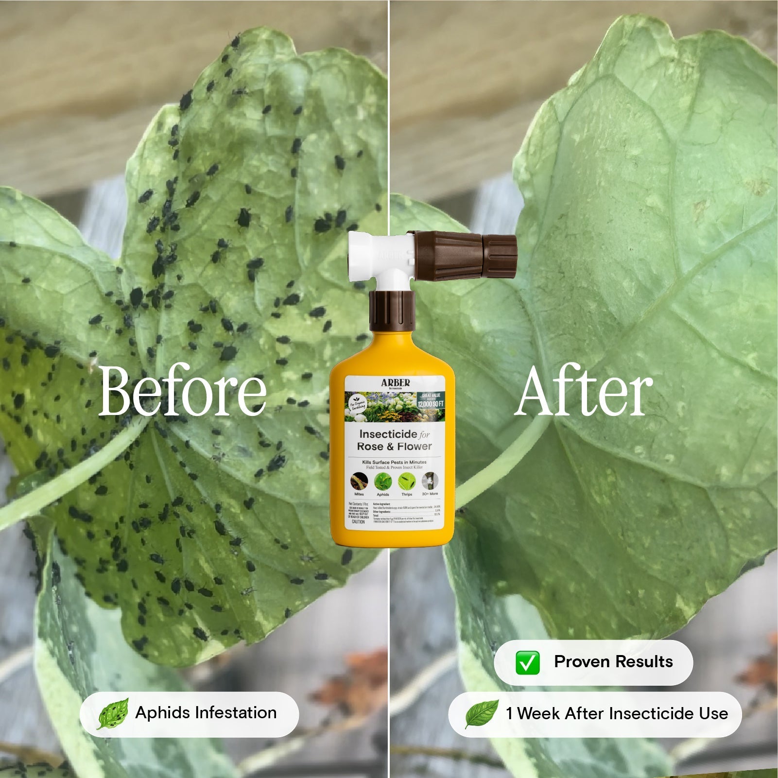 Organic Arber insecticide spray for roses and flowers, showing a green bottle with a spray nozzle against a garden background.