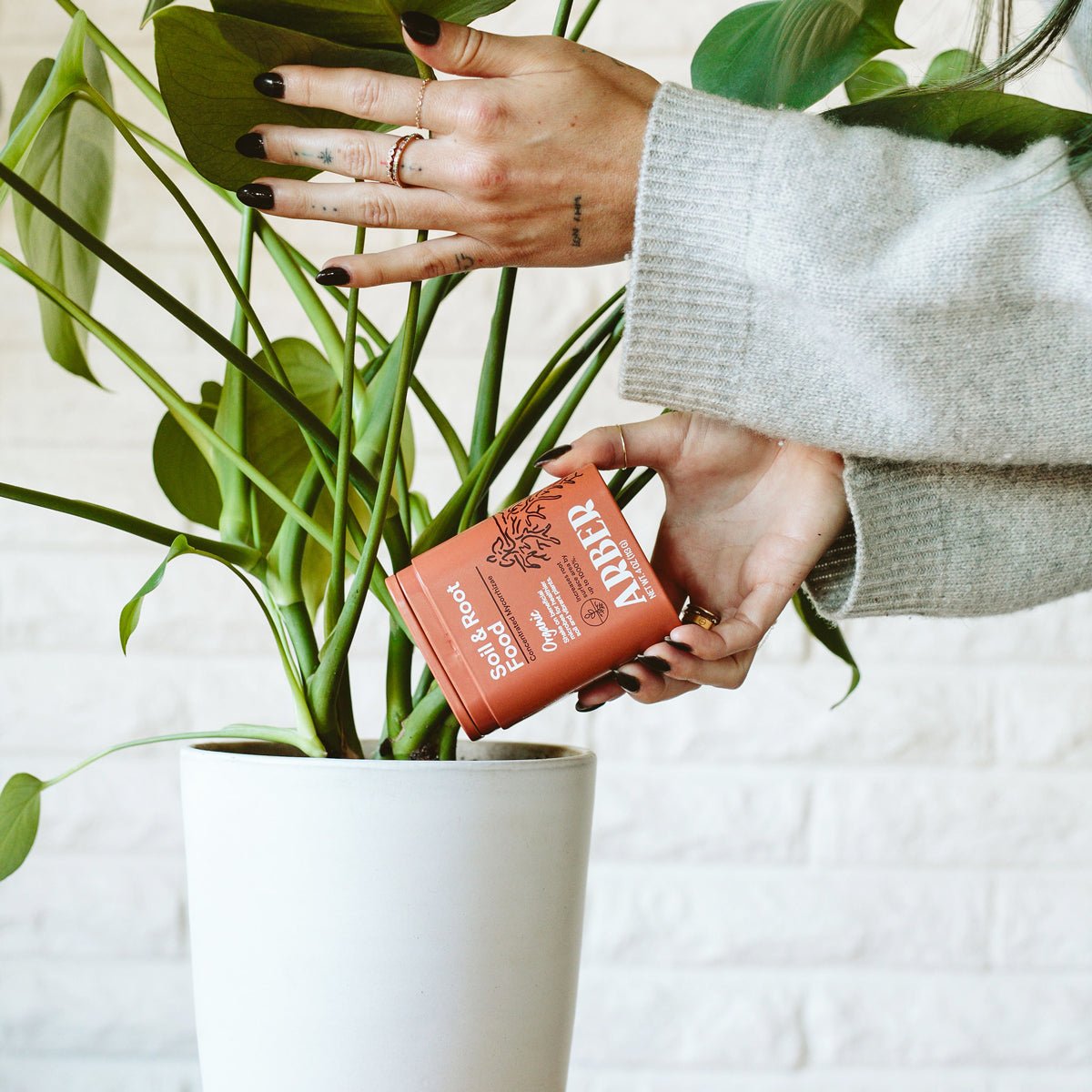 Organic Soil and Root Boost by Arber, natural fertilizer with rich organic ingredients for healthy plant growth.