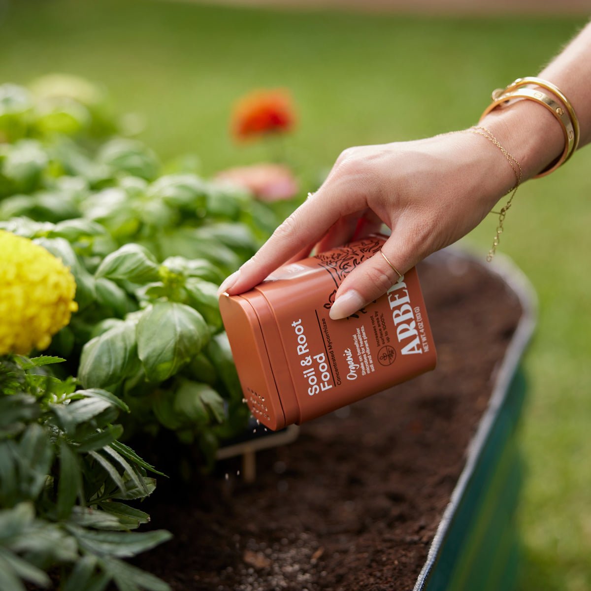 Organic Soil and Root Boost by Arber, natural plant fertilizer with organic ingredients for healthy root growth and soil enhancement.
