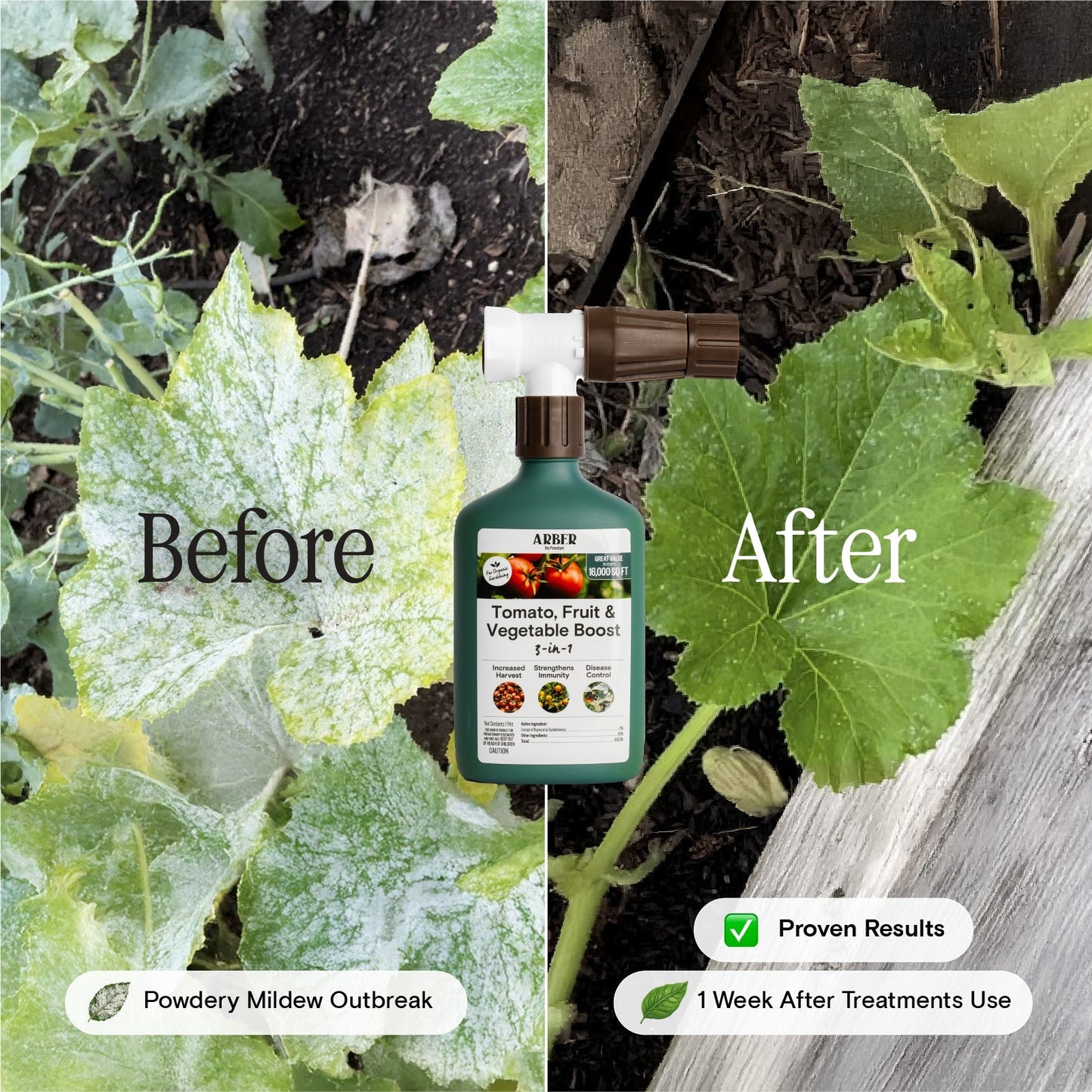 Organic tomato and vegetable boost supplement by Arber, featuring fresh tomatoes and assorted fruits in a clean, natural setting.