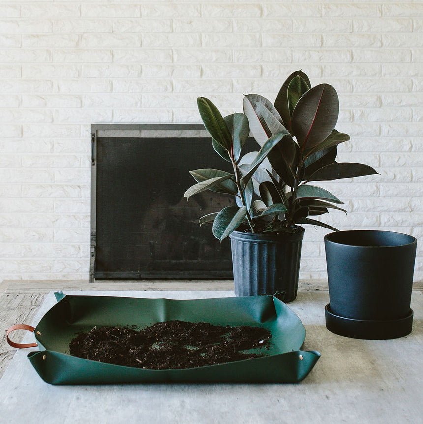 Arber repotting mat in black with green trimming, designed for plant repotting and gardening tasks.