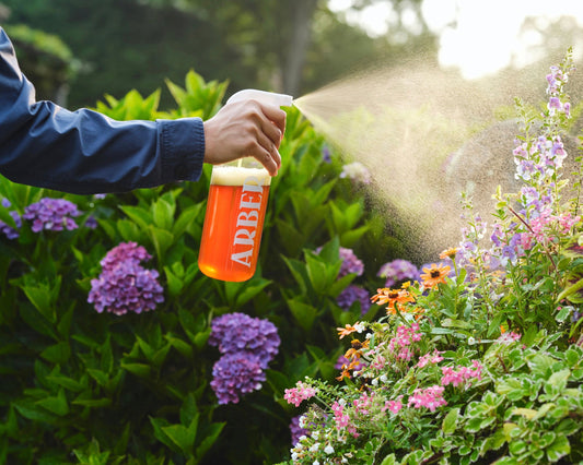 Arber spray bottle with transparent plastic body and blue spray nozzle, ideal for cleaning or gardening purposes.