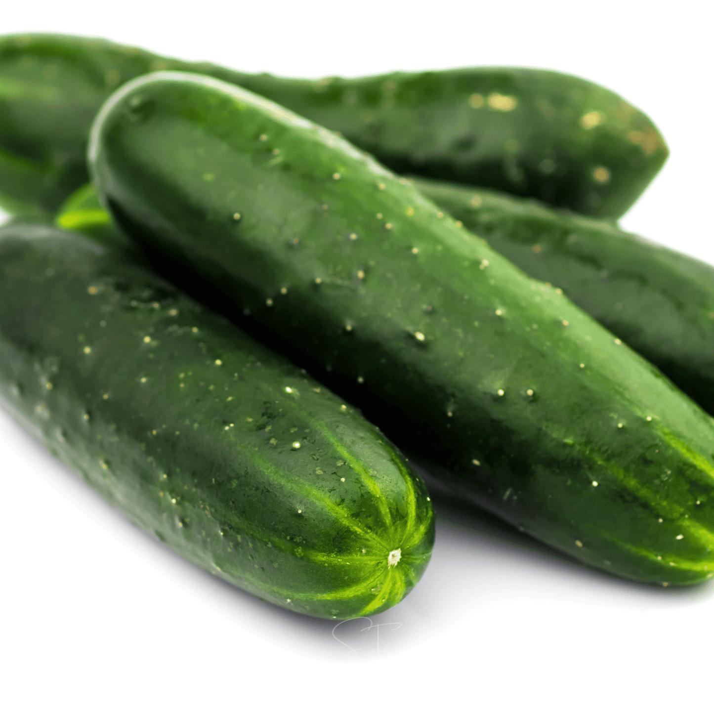 Packet of Ashley Cucumber seeds from Southern Seeds showing 30 seeds for planting fresh cucumbers.