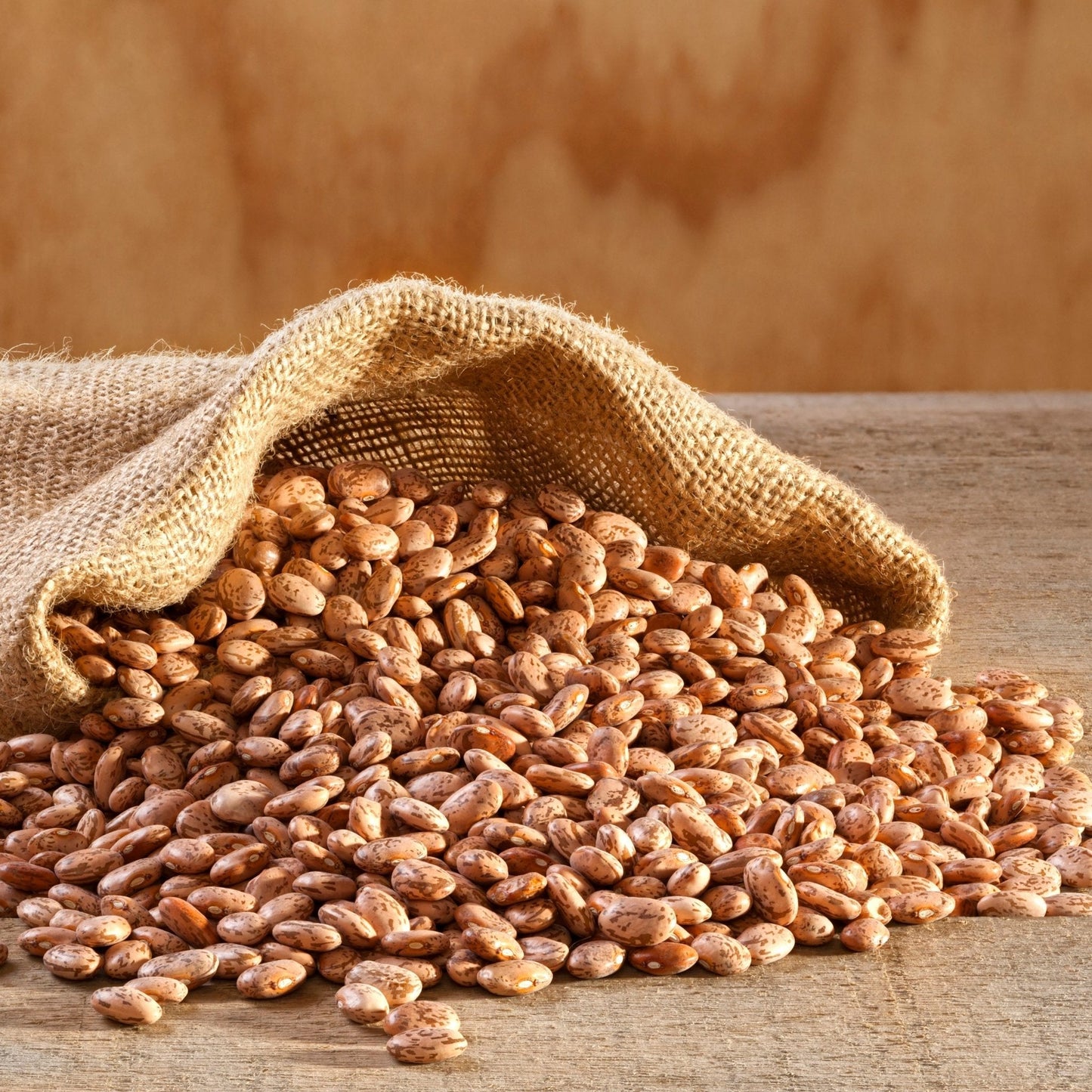 Dried Pinto Beans in a 4-gallon pail from Augason Farms, showing the large container filled with dried pinto beans.
