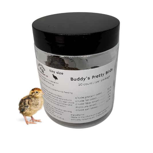 Ten dehydrated quail whole chick treats for cats and dogs, small premium natural snacks from Quailz.com by Undique LLC.