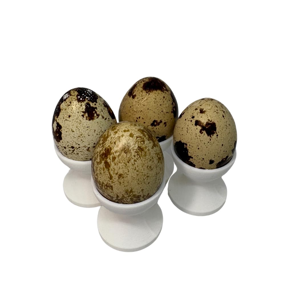 Set of four Quail Egg Holders, mini egg cup set by Quailz.com, featuring small quail egg cups for serving or display.