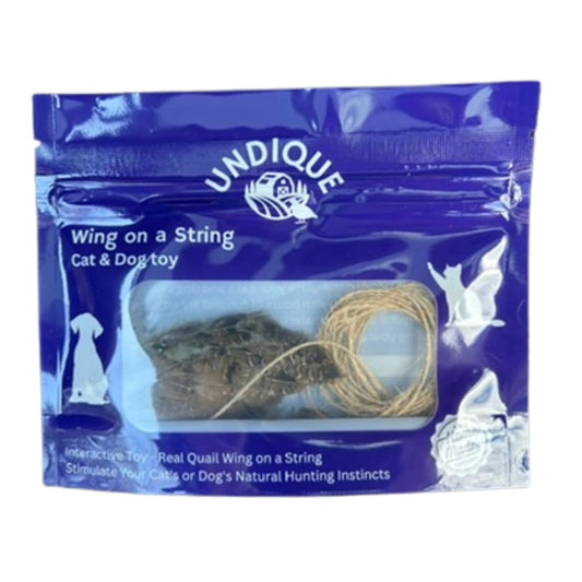 Real bird wing cat toy with quail scent for interactive play, training, and hunting dog retrieval exercises.