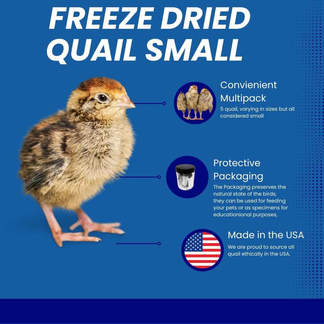 Freeze-dried whole quails for carnivore pets, premium natural treats by Quailz.com, small size, 5 pieces with visible feathered quails.