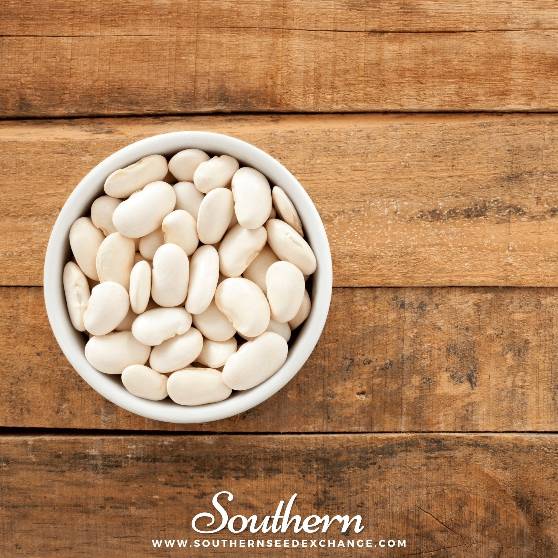 Henderson Lima Bean pole seeds from Southern Seeds, showing 15 healthy lima bean seeds for planting.