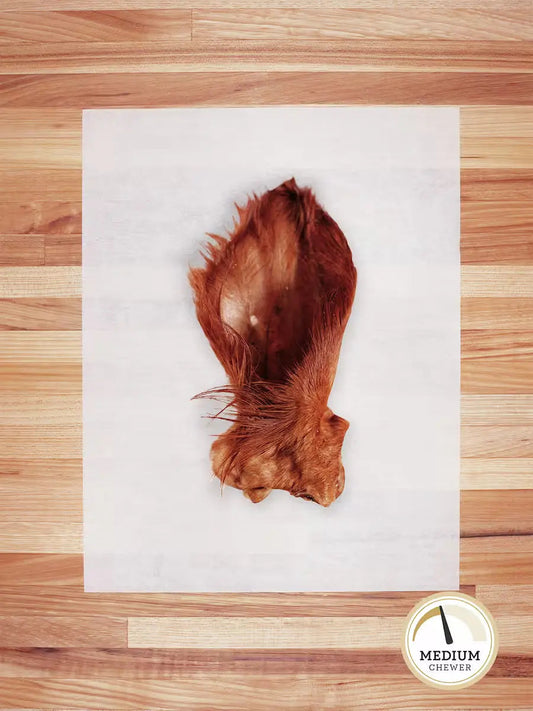 Whole beef ear chew from Farm Hounds, featuring natural hairy texture, ideal for dogs' dental health and chewing enjoyment.