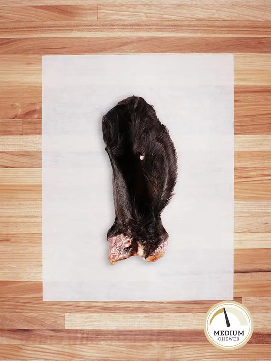 Whole hairy beef ear chew from Farm Hounds, showing textured, natural beef ear with hair, ideal for dog treats and chews.