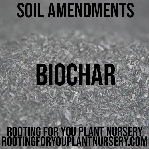 BioChar soil amendment from Rooting For You Plant Nursery, showing organic biochar for enriching garden soil.