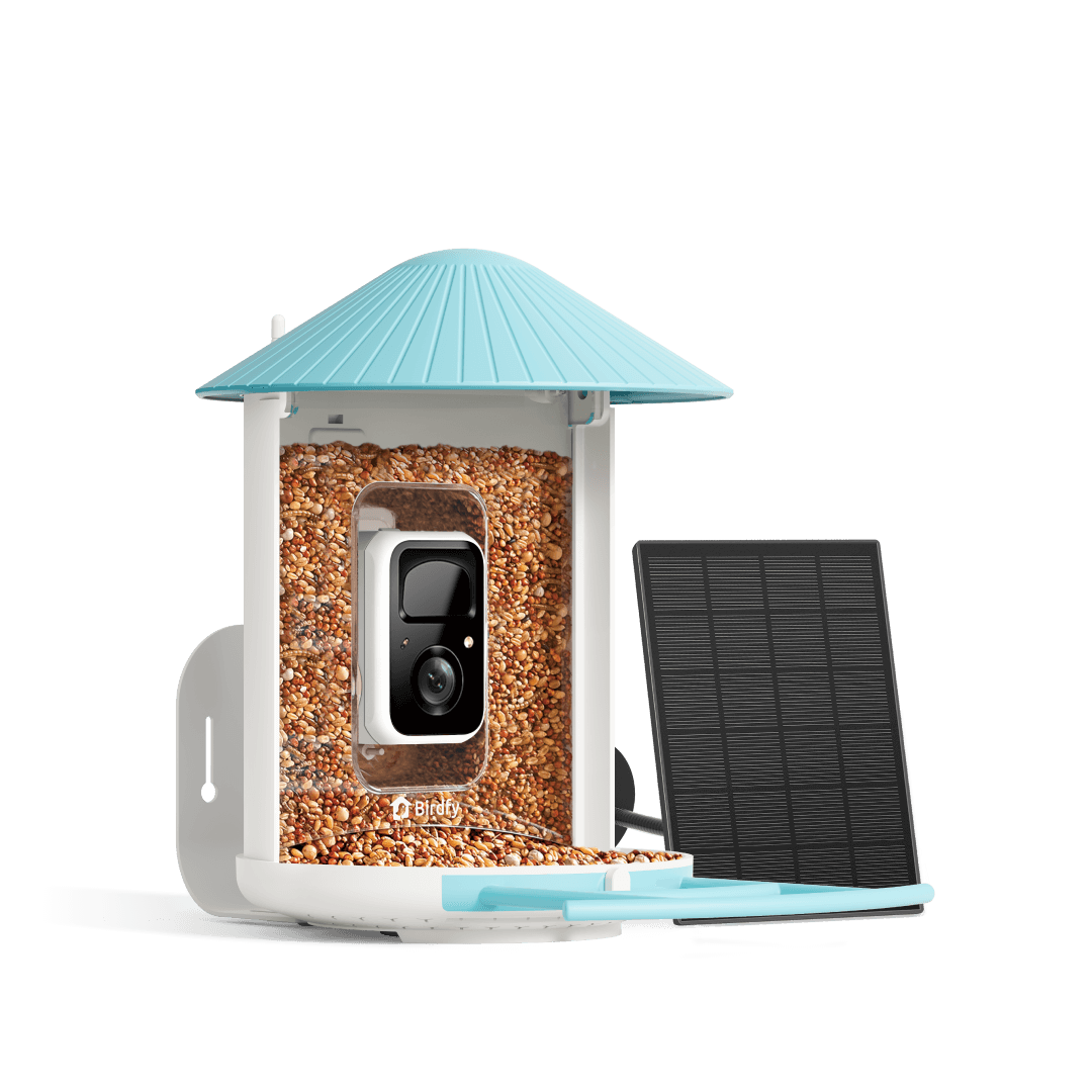 Birdfy solar-powered smart bird feeder with camera, blue bundle featuring solar panel and wildlife observation capabilities
