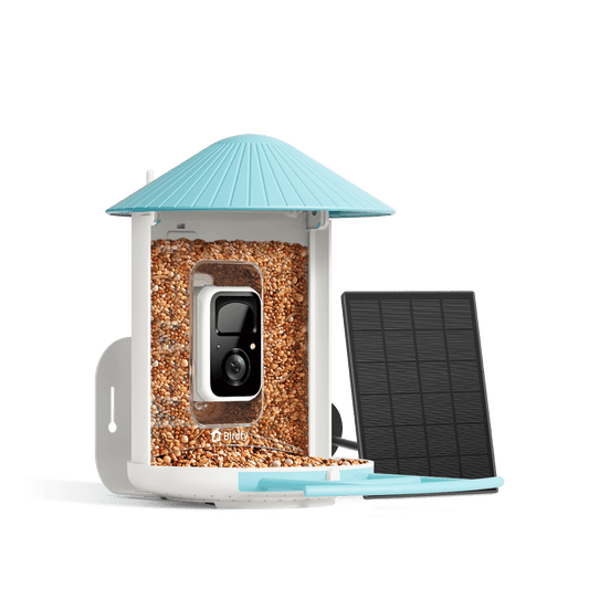 Birdfy solar-powered smart bird feeder with camera, blue bundle featuring solar panel and wildlife observation capabilities