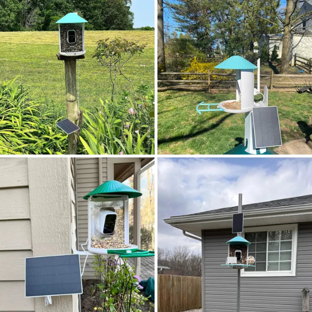 Birdfy solar-powered smart bird feeder with camera in blue, featuring a solar panel and bundle components, designed for bird watching.