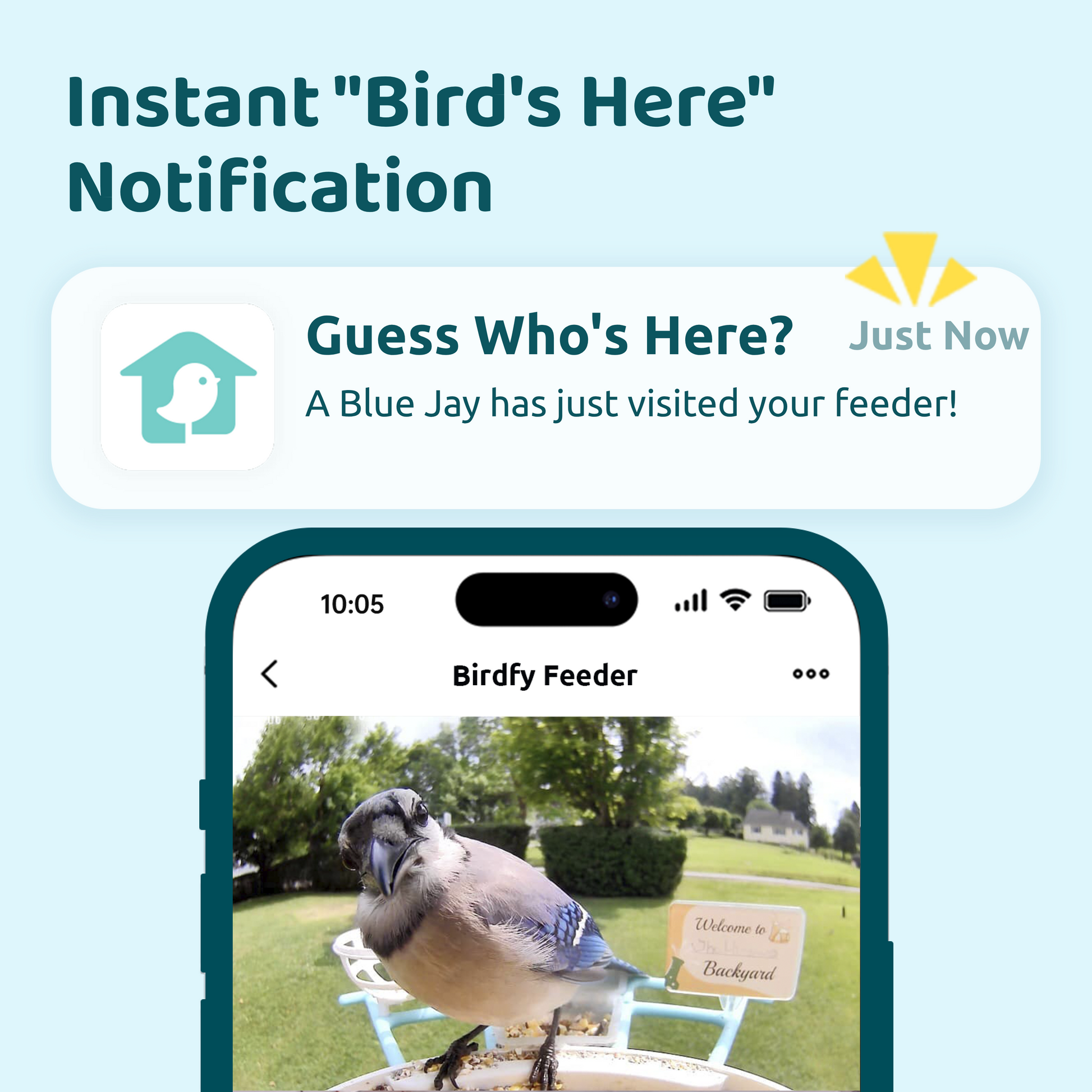 Birdfy solar-powered smart bird feeder with camera, blue bundle including solar panel for outdoor bird watching and wildlife observation.