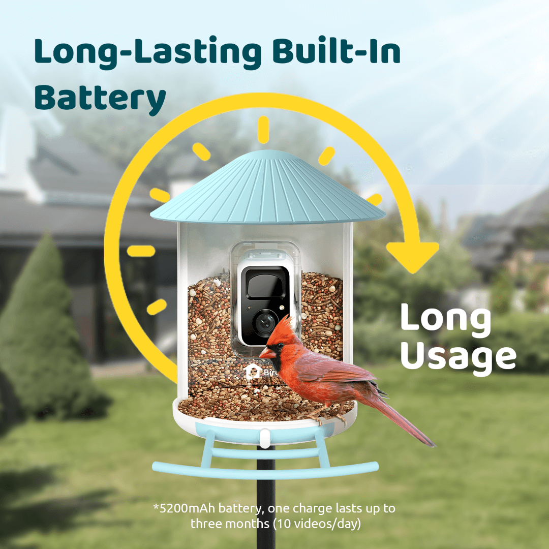 Birdfy solar-powered smart bird feeder with camera and blue bundle, featuring a solar panel for eco-friendly bird watching.
