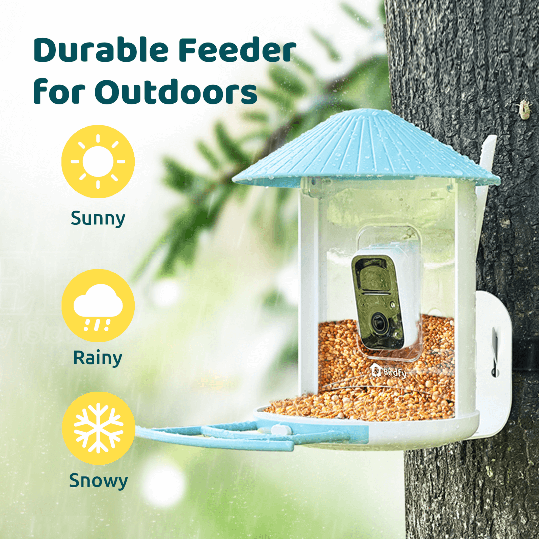 Birdfy solar-powered smart bird feeder bundle with camera and blue design, featuring a solar panel for eco-friendly bird feeding.