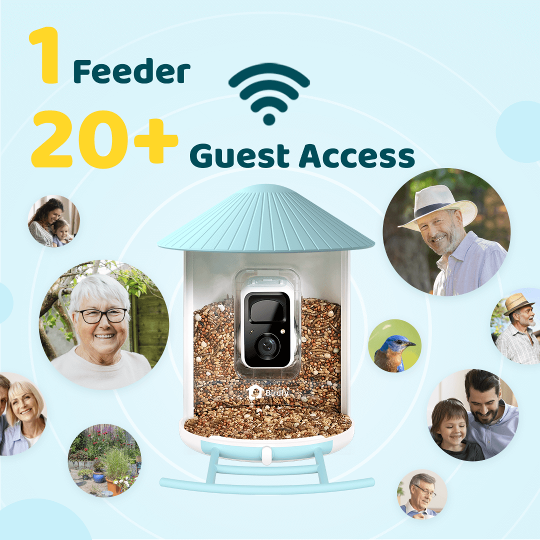 Birdfy solar-powered smart bird feeder with camera in blue, featuring a solar panel and bundle package for bird watching.