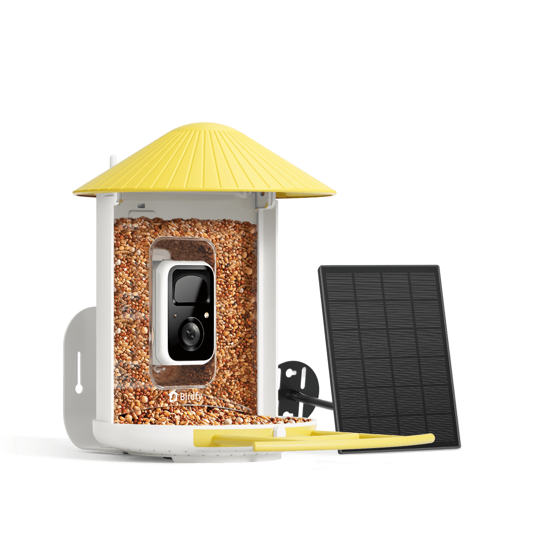 Birdfy solar-powered smart bird feeder bundle with camera, blue color, featuring a solar panel and camera for bird watching.