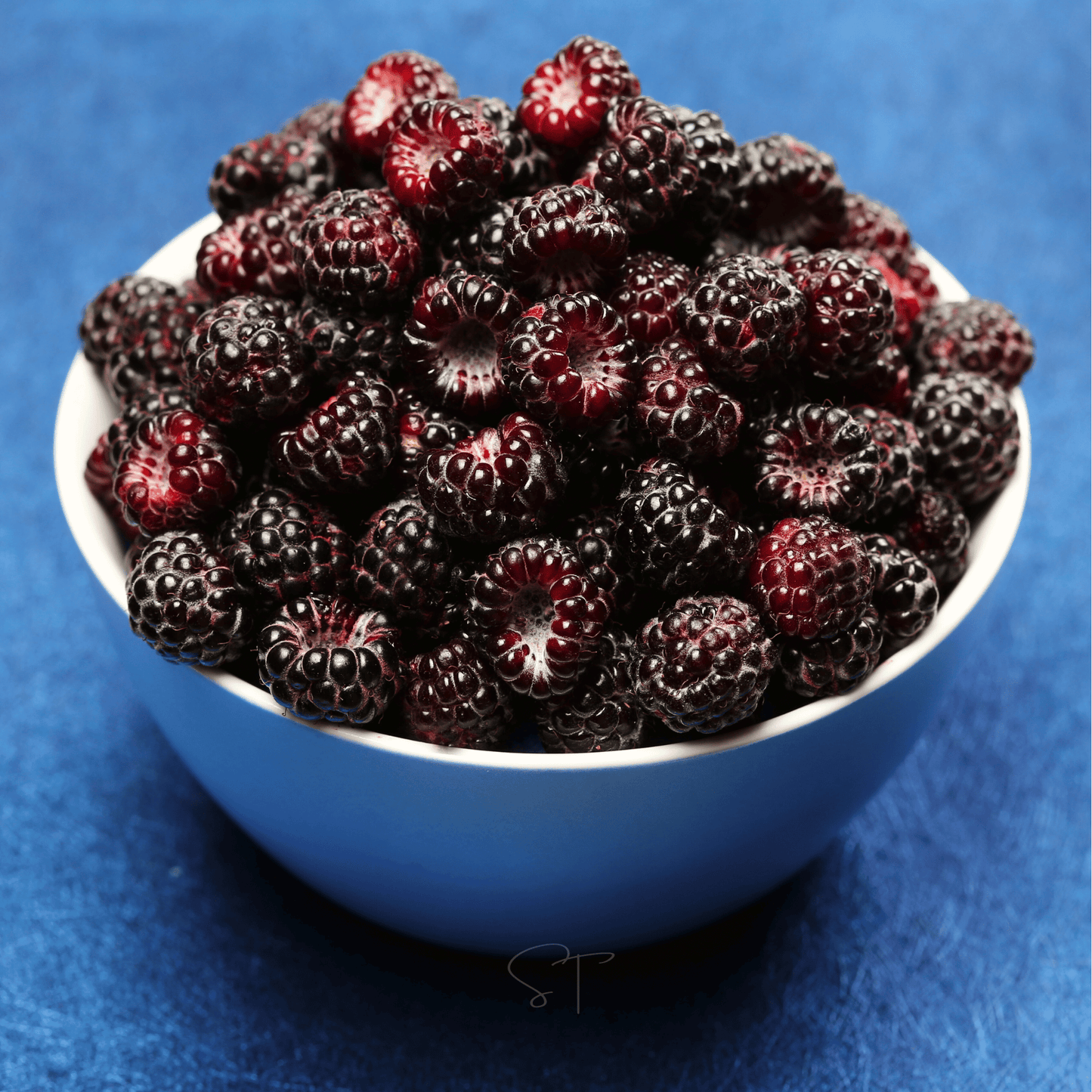 Packet of Southern Seeds Black Raspberry 30 seeds for planting, showcasing the seed packet with black raspberry seeds.