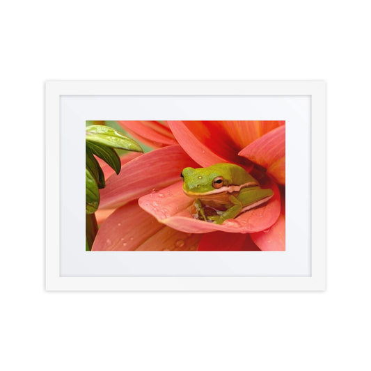 Framed Dahlia and Frog print artwork from Blessings Grow Meadows featuring vibrant floral and amphibian illustrations in a decorative frame